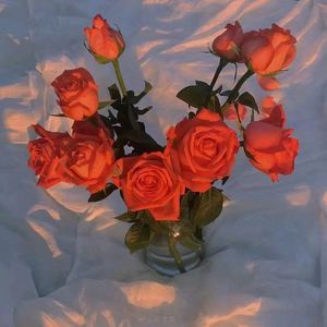 晚上做爱能看日皮的视频
